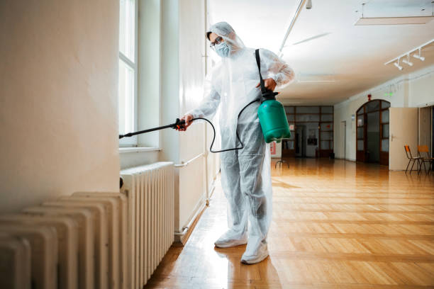 Best Fumigation Services  in Lewisville, NC